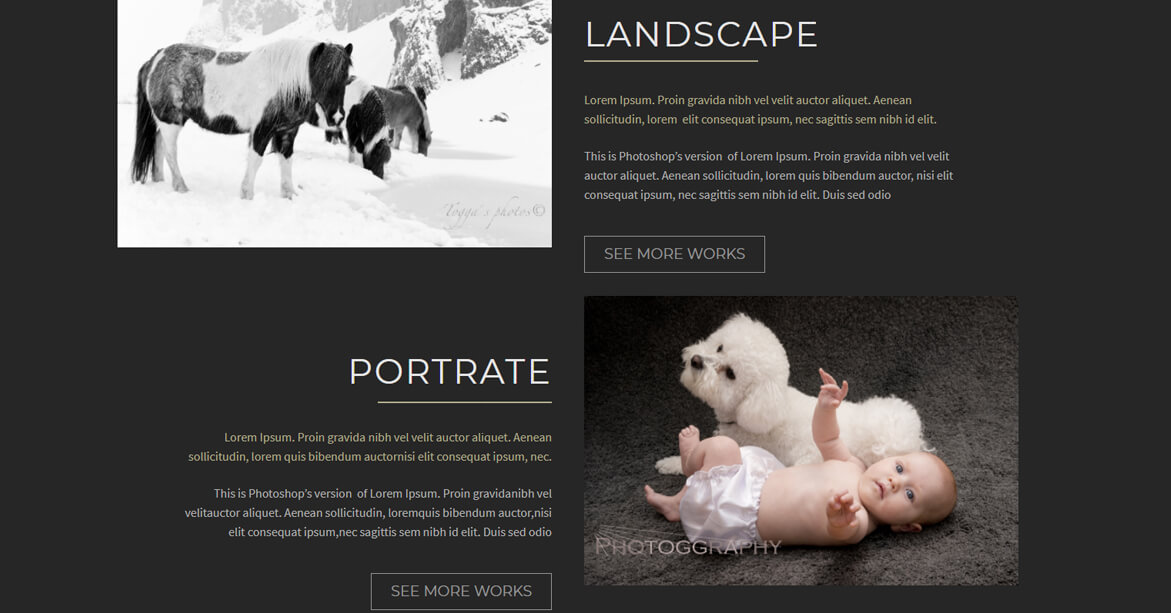 Photography Website Development-2